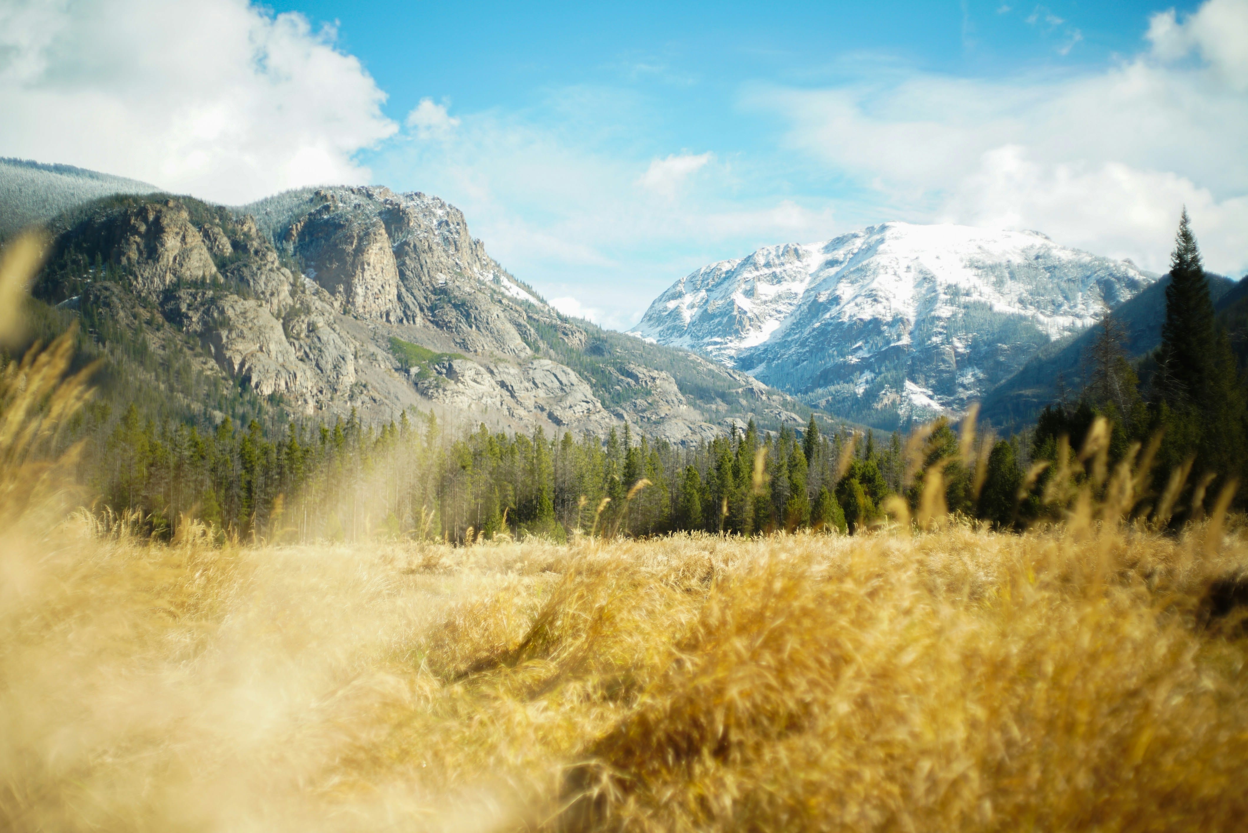 Fir, Tree, Mountain Range, Scenery, Landscape